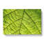 Leaf Roads - Wrapped Canvas Print-56629895