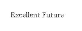 Logo Excellent Future