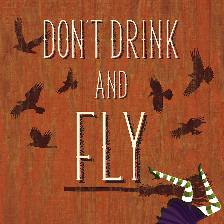 «Don't Drink and Fly» par 5by5collective - Impression sur toile tendue sur châssis, H 24 po x l 24 po x P 1 po, Blanc