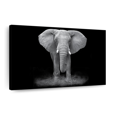 Elephant Zone Canvas Print