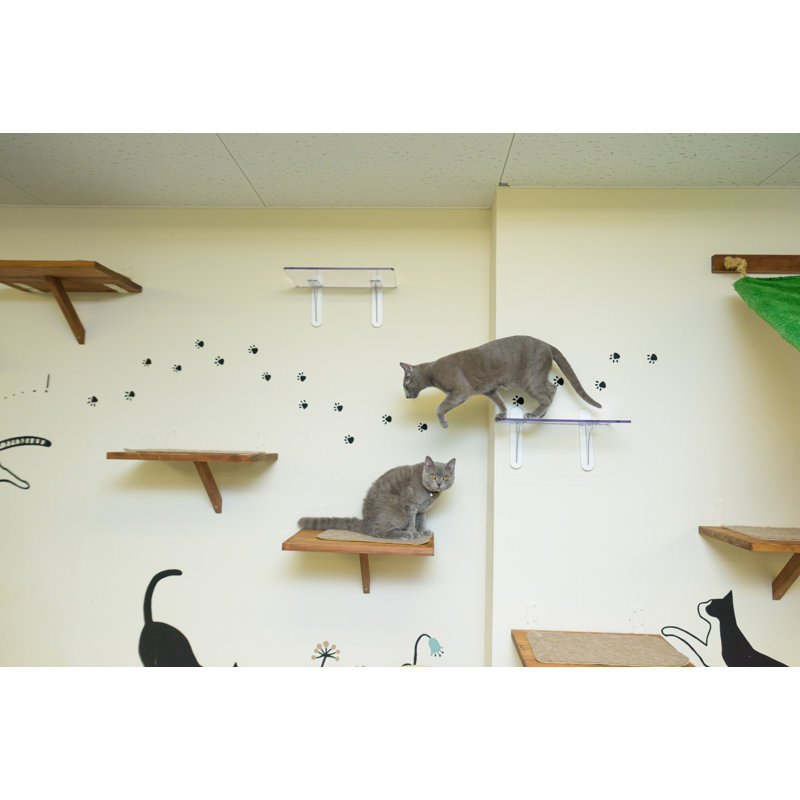 Pied de chat pour mur