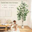 Ficus artificiel d'intérieur, grand ficus artificiel de 7 pi avec jardinière blanche et fausse mousse verte, plantes artificielles avec tronc en bois naturel et fruits réalistes pour la décoration de bureau personnel-453720653-453720648