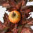 26" Maple Leaves Wreath