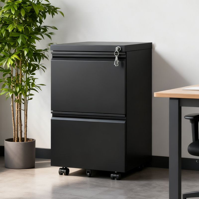 2-Drawer Mobile File Cabinet with Lock, Fully Assembled Rolling Storage for Legal/Letter/A4 Files, Compact Office Organizer