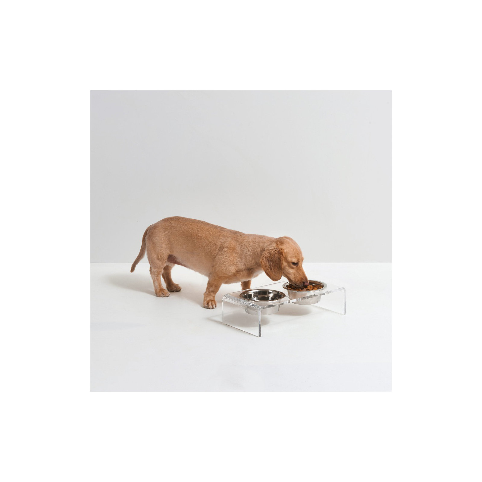Small Clear Elevated Feeder with Silver Bowls, 1.5 cups