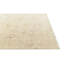 Tapis ivoire 6x9 Pietrzak
