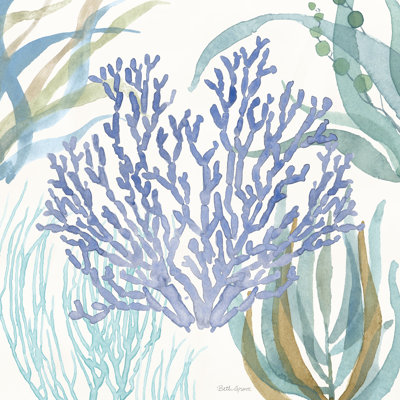 Soft Shores VI