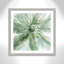 «Mullings Macro Sage Flower I», reproduction de peinture à l'aquarelle encadrée