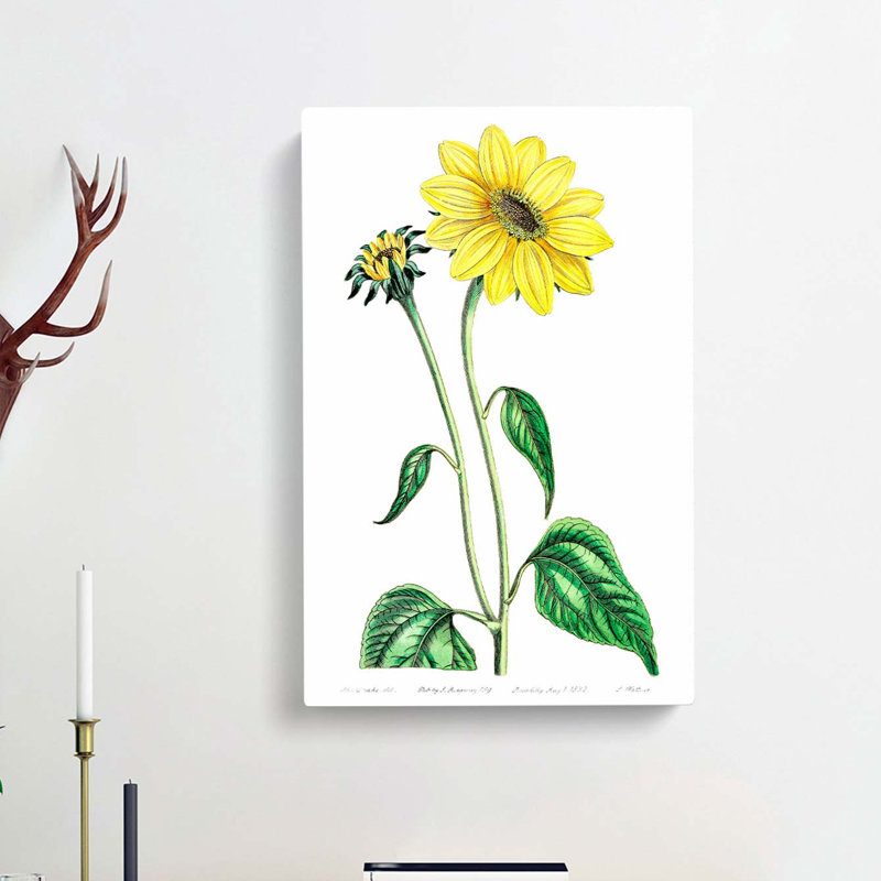 Trumpet Stalked Sunflowers - Wrapped Canvas Painting, 60cm H x 40cm W x 3cm D