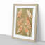 Anatomical Illustrations of the Foot by Gautier-Dagoty - Picture Frame Painting Print-55682495-55682499