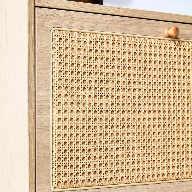 Modern Shoe Storage Cabinet Rattan Shoe Cabinet For Living Rooms, Brown