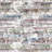 Stylish Hall Carpet (3.3 x 6.6 ft), 100% Polyester, 0.3 in Pile Height | Antibacterial, Non-Slip PVC Felt Dot Underside | Machine Washable, 3D Digital Print, Durable & Easy to Clean | Perfect for Entryway & Living Areas-1192619875