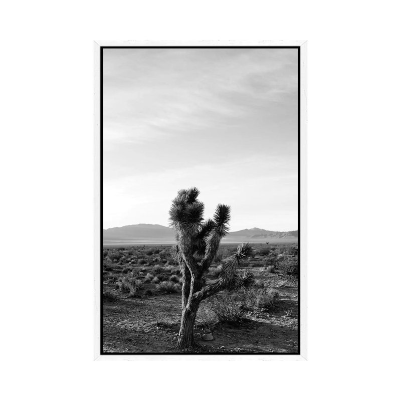 Joshua Tree Sunrise III by Bethany Young - Print on Canvas, 66.04cm H x 45.72cm W x 3.81cm D, White Framed