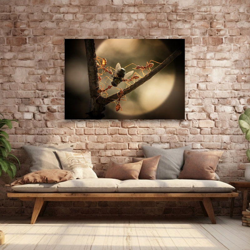 Weaver Ants Capture Fly Contemporary Ant Fly Forest Nature Wall Art Print 1 Piece Wrapped Canvas Wall Art