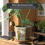 Diandrea Handmade Ceramic Pot Planter-784894472