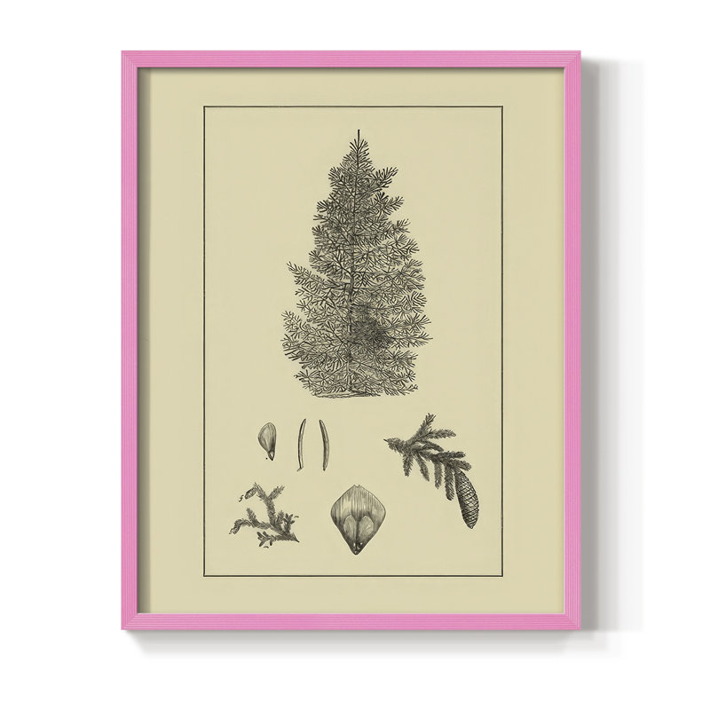 Arbor Study I Framed Print - Solid Wood, Pink, 11" H x 9" W