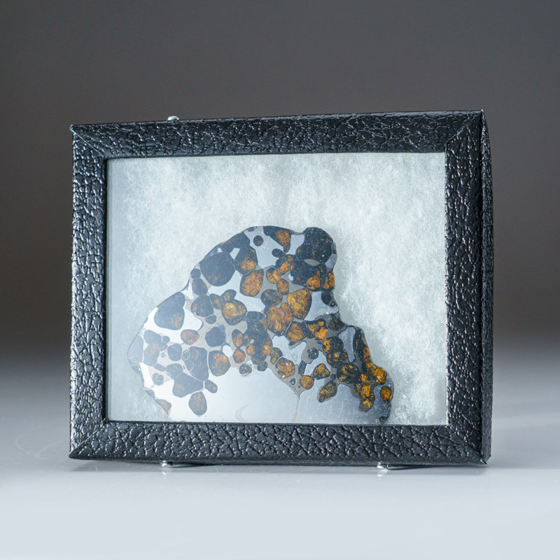 Genuine Brenhama Pallasite Meteorite Slice (0.12 Lbs)