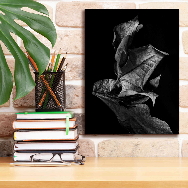 «Delynn Leaf Composition Dark on Canvas» par Design Fabrikken, reproduction, H 16 po x l 12 po x P 0,75 po