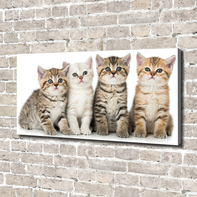 Small Cats - Wrapped Canvas Print