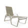 Holna Outdoor Rust-Resistant Metal Chaise Lounge