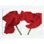 «Poppy Red», impression sur toile-29483406-73551091-73561395
