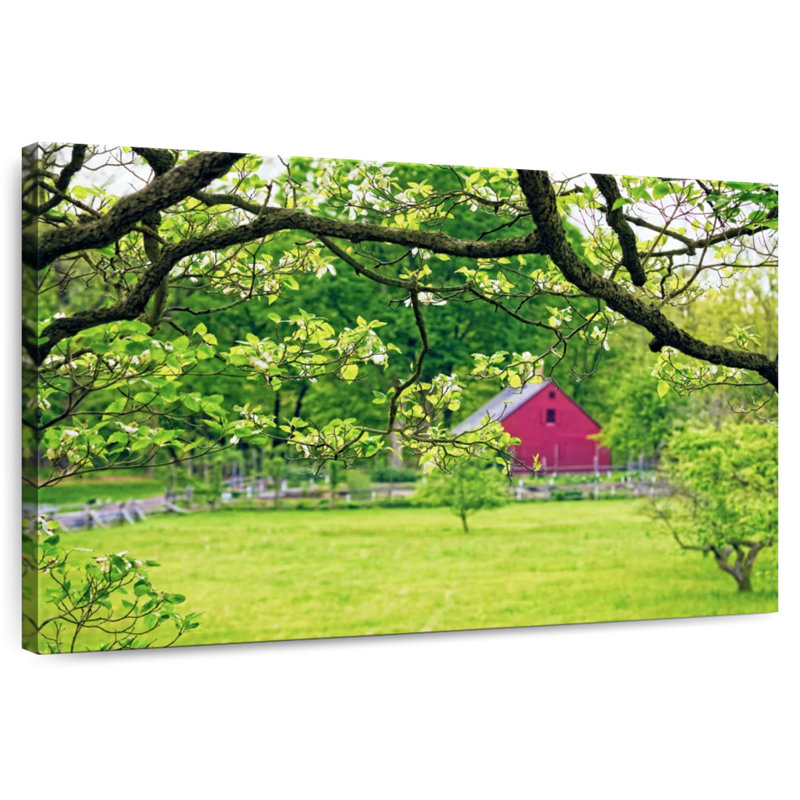 Verdant Spring Jockey Hollow Park, New Jersey, H 24 po x l 36 po