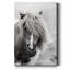 " Shetland Summer "-508854015
