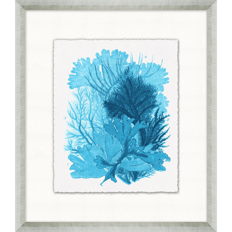 Cyan Coral Collection 1 Framed Painting