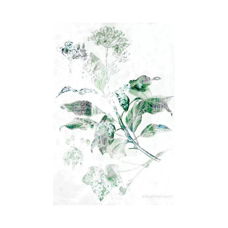 Verbena Botanical by Bluebird Barn - Wrapped Canvas Painting, 101.6 cm H x 66.04 cm W x 3.175 cm D