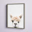 Aurelia Animals-898782695