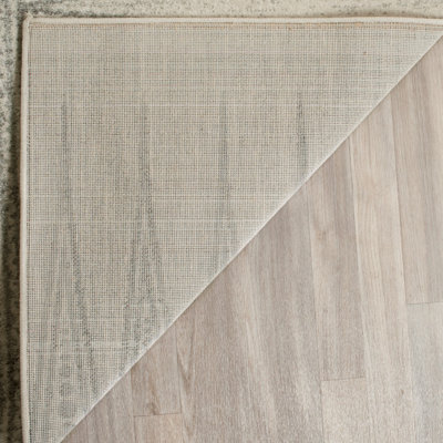 Abbingt Southwestern Ivory/Silver Area Rug