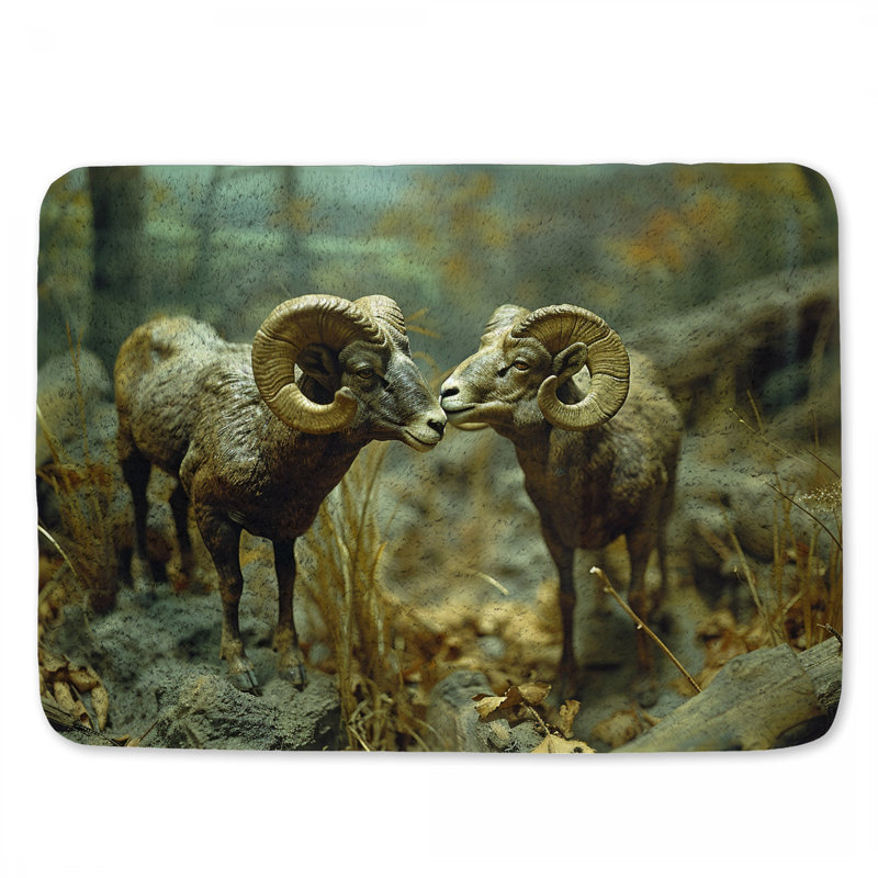 Tapis de bain Rams Wildlife, L 17 po x L 24 po
