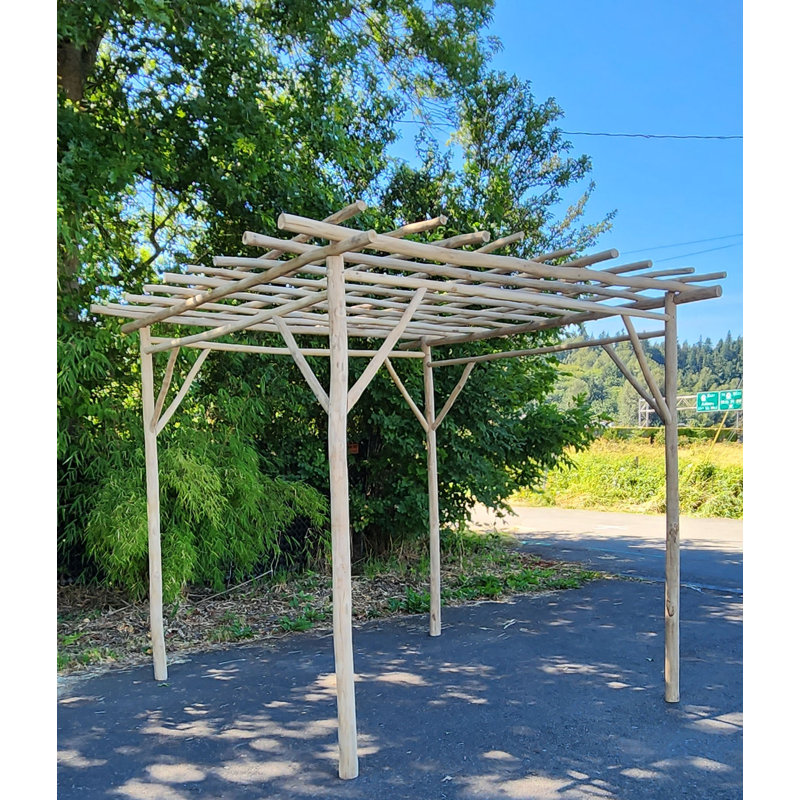 10 Ft. W x 10 Ft. D Solid Wood Pergola, Debarked 