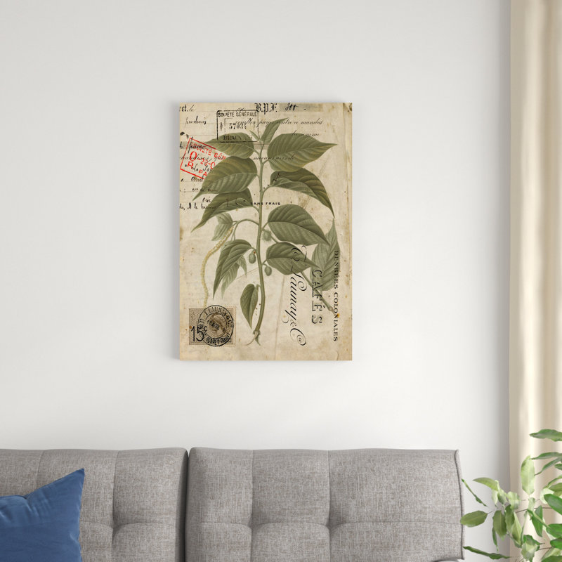 " Vintage Nature's Greenery II " by Vision Studio, 30" H x 20" W