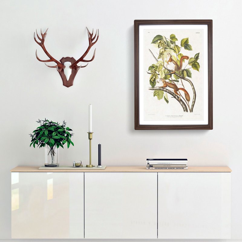 Red Squirrels by J.W. Audubon - Picture Frame Painting Print, 36cm H x 27cm W x 2cm D, Walnut Framed