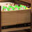 Pevey-1737754185