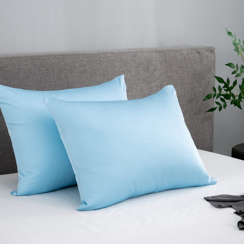 Silk Luxe Pillowcases (set of two), Queen Pillowcase, Clear Sky