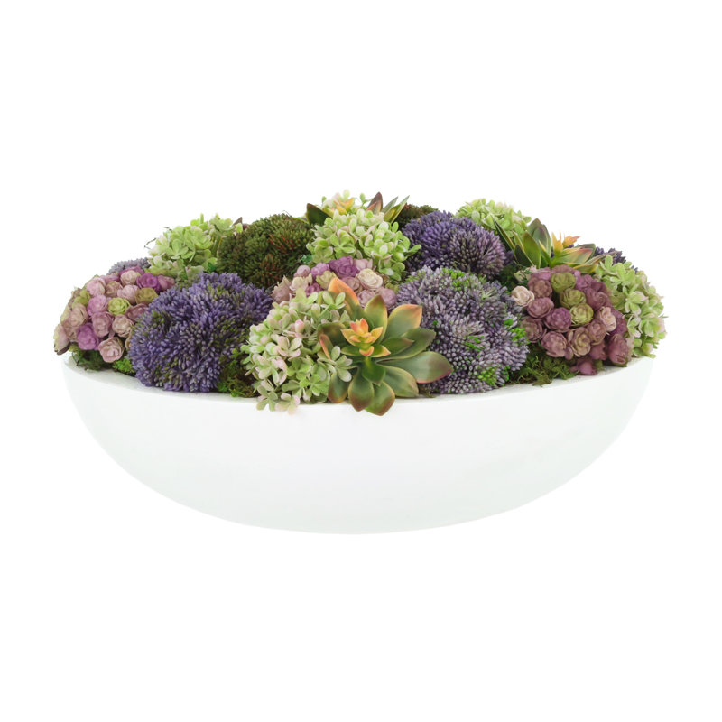 Assorted Sedum and Succulent Arrangement in Round Planter