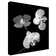 'Three Orchids Black and White' Graphic Art Print on Wrapped Canvas