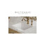 Whitehaus Collection Undermount Single Bowl Fireclay Kitchen Sink with Stainless Steel Grid-704333027