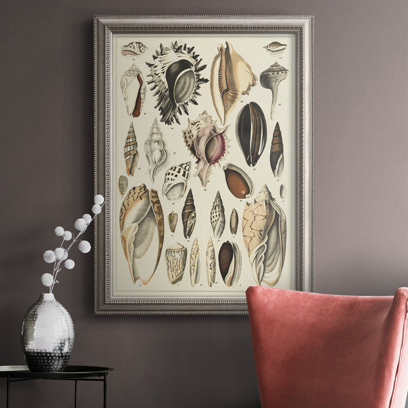 " Seashell Display ", 20" H x 16" W x 2.5" D