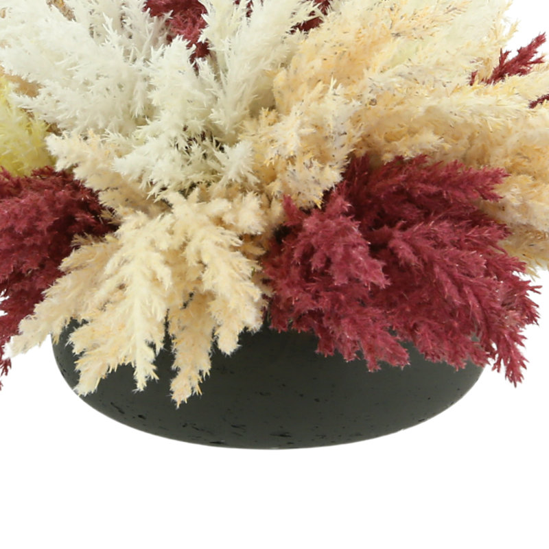 Pampas Arrangement in Pot