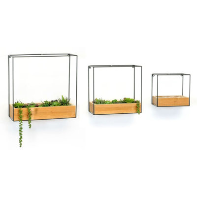 Wall Planter