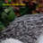 Earnestine Frog Plastic Garden Statue