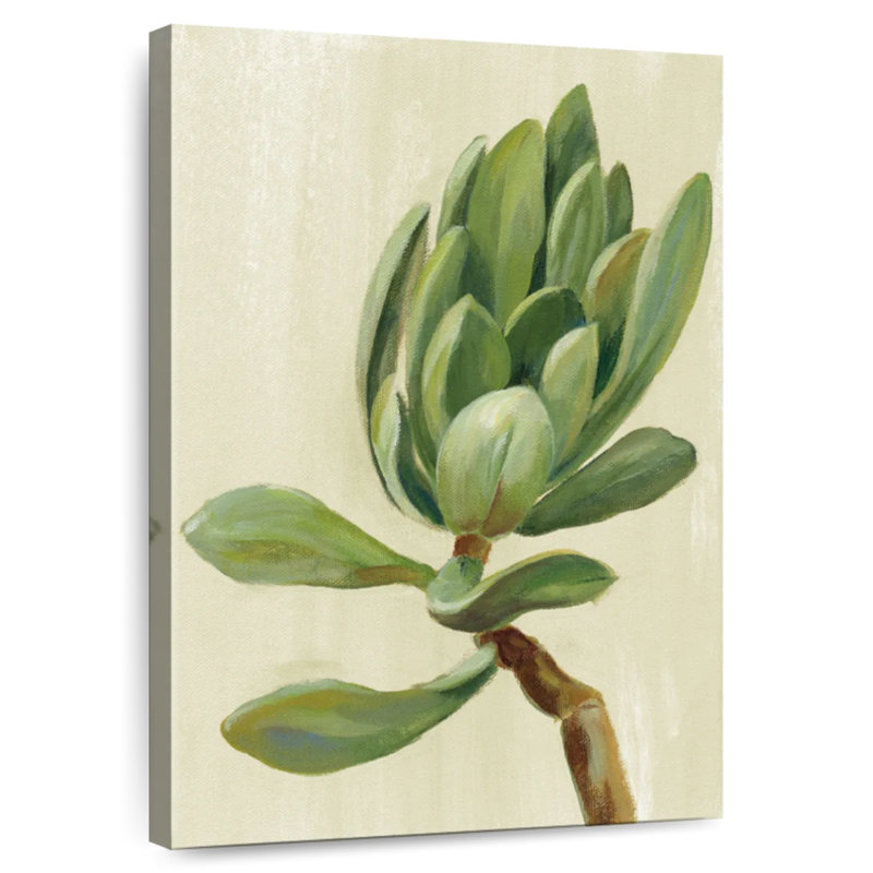Harnek Front Yard Succulent III, 12" H x 8" W