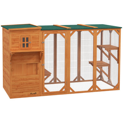 Grande maisonnette d'extérieur pour 3 chatons, conception multi-niveaux avec grandes cachettes 2 étages et plusieurs plateformes pour chat