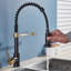 Belfry Kitchen Hockensmith Pull Out Kitchen Faucet