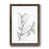 Papier, cadre noyer