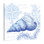 Coastal S Croquis: Coquillage - reproduction d'art sur toile tendue