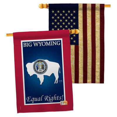 Double Sided 40'' H x 28'' W Polyester House Flag
